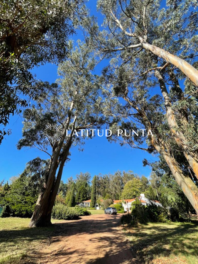 El Jaguel - GoPunta - Portal Inmobiliario de Punta del Este - Maldonado