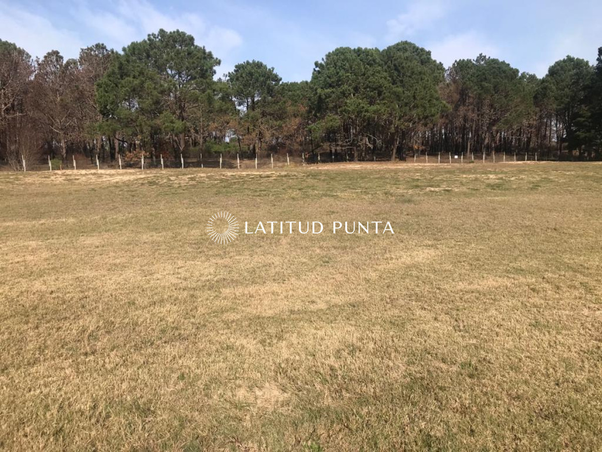 Ruta 104 - GoPunta - Portal Inmobiliario de Punta del Este - Maldonado