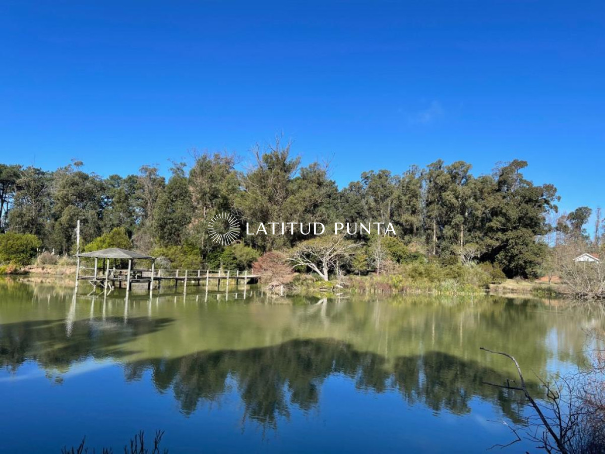 El Jaguel - GoPunta - Portal Inmobiliario de Punta del Este - Maldonado