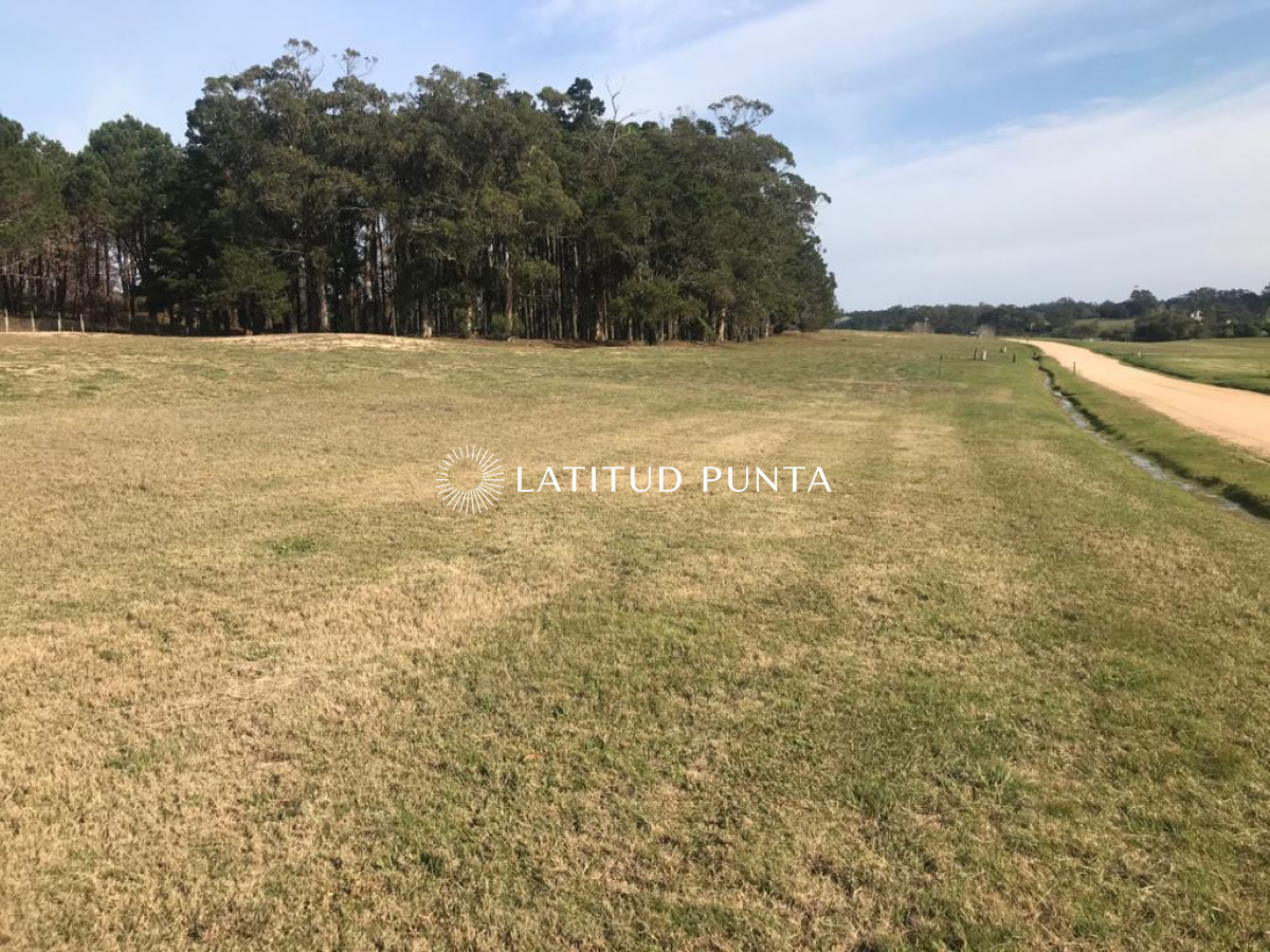 Ruta 104 - GoPunta - Portal Inmobiliario de Punta del Este - Maldonado