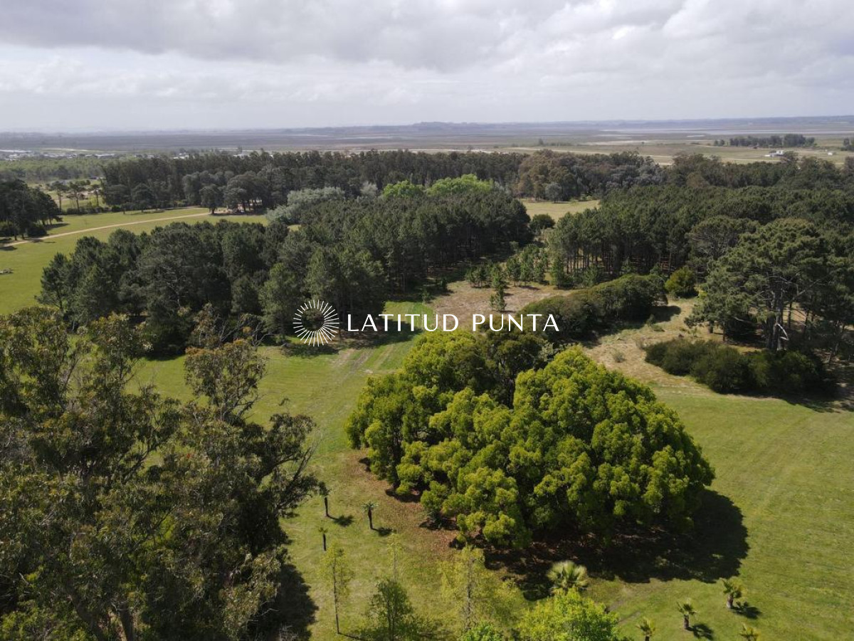 El Jaguel - GoPunta - Portal Inmobiliario de Punta del Este - Maldonado