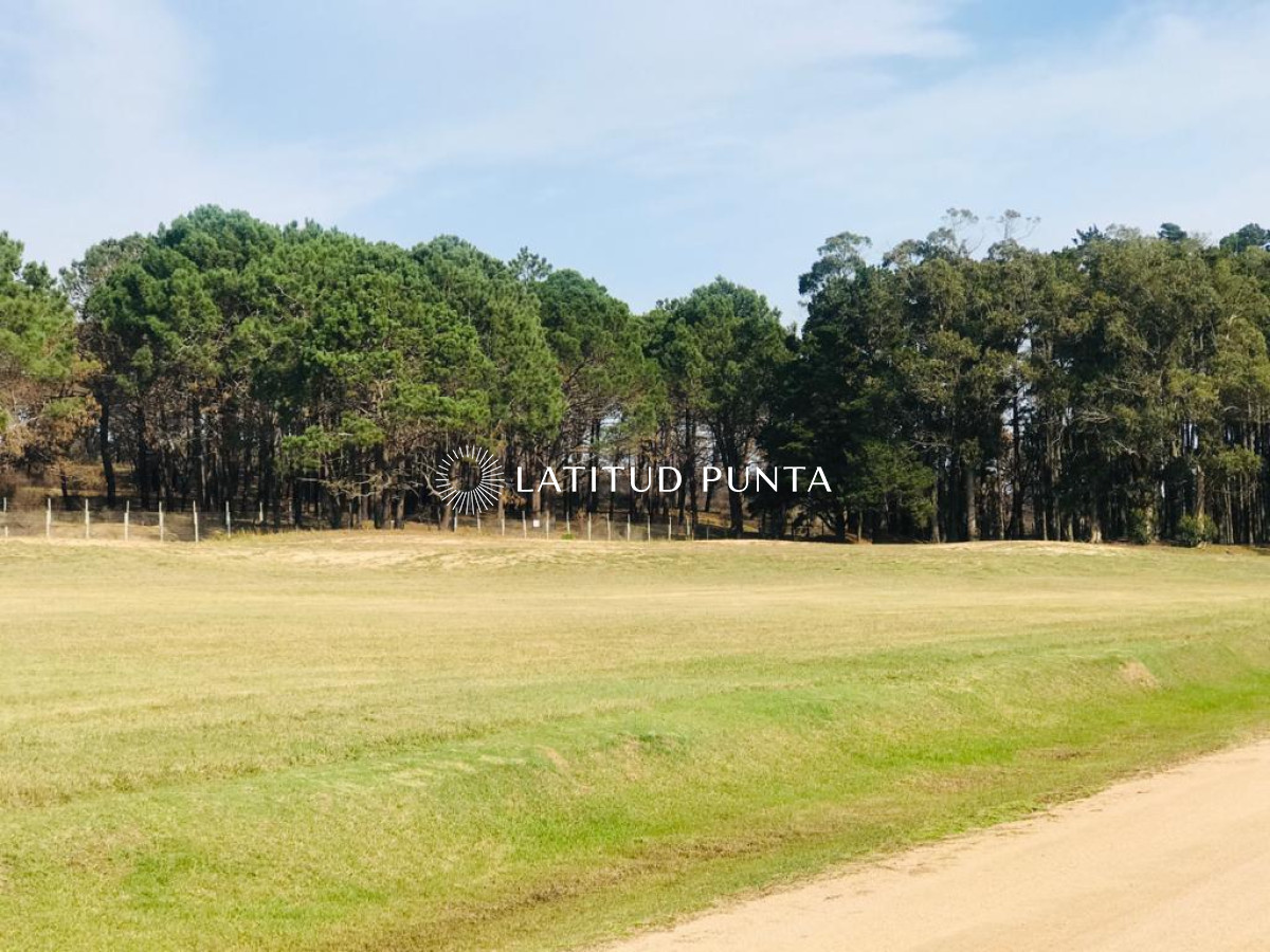 Ruta 104 - GoPunta - Portal Inmobiliario de Punta del Este - Maldonado