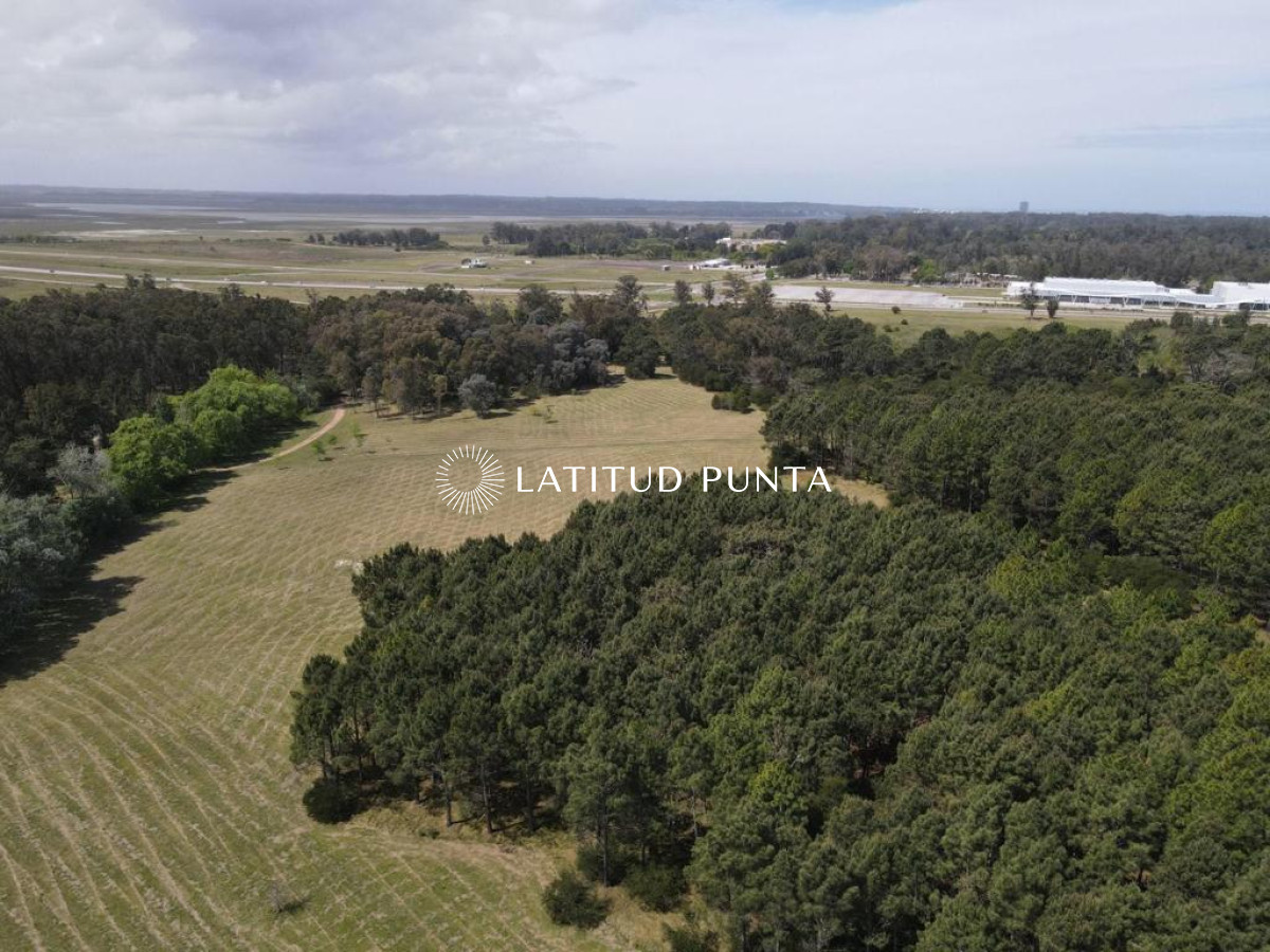 El Jaguel - GoPunta - Portal Inmobiliario de Punta del Este - Maldonado