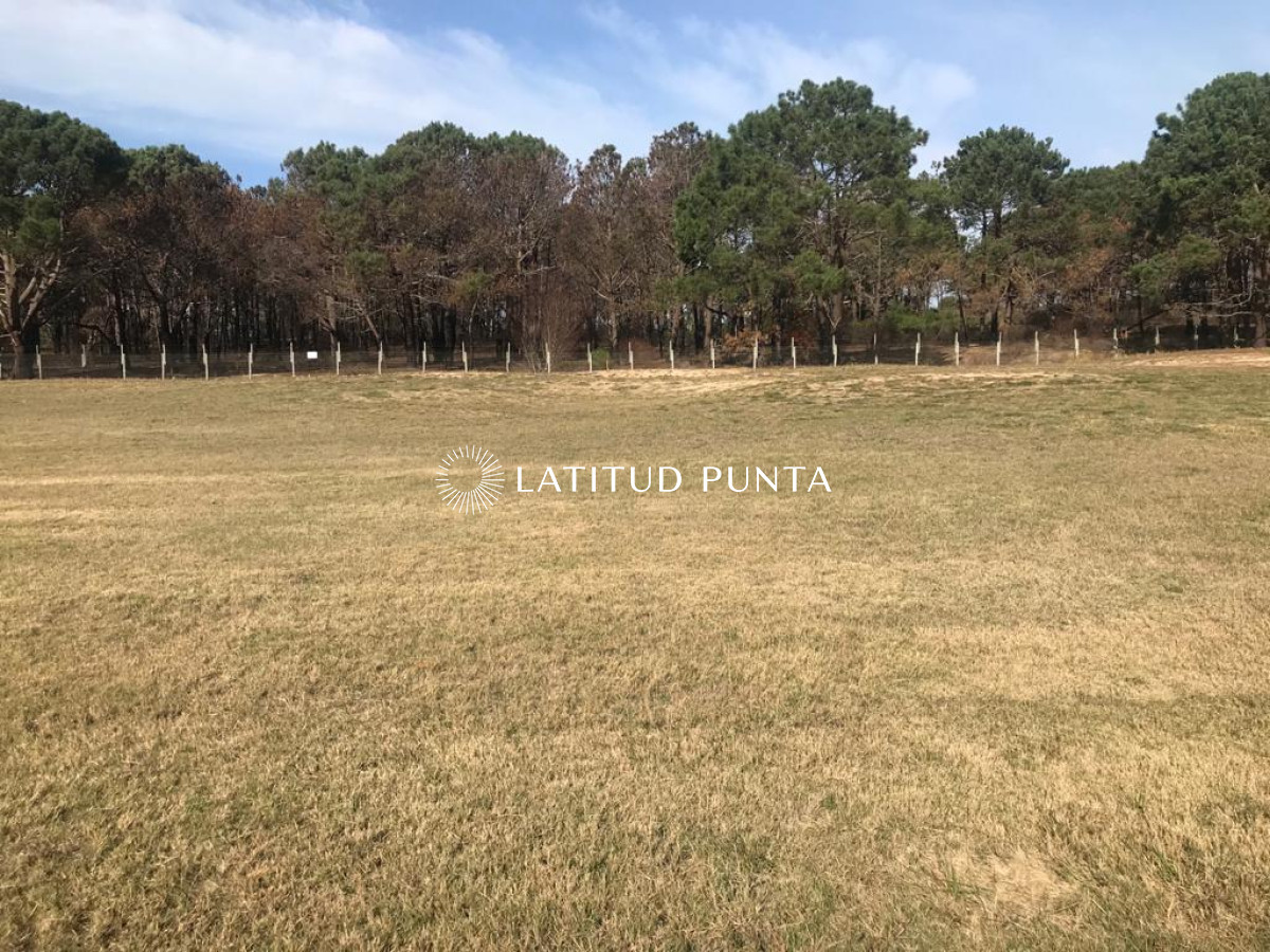 Ruta 104 - GoPunta - Portal Inmobiliario de Punta del Este - Maldonado