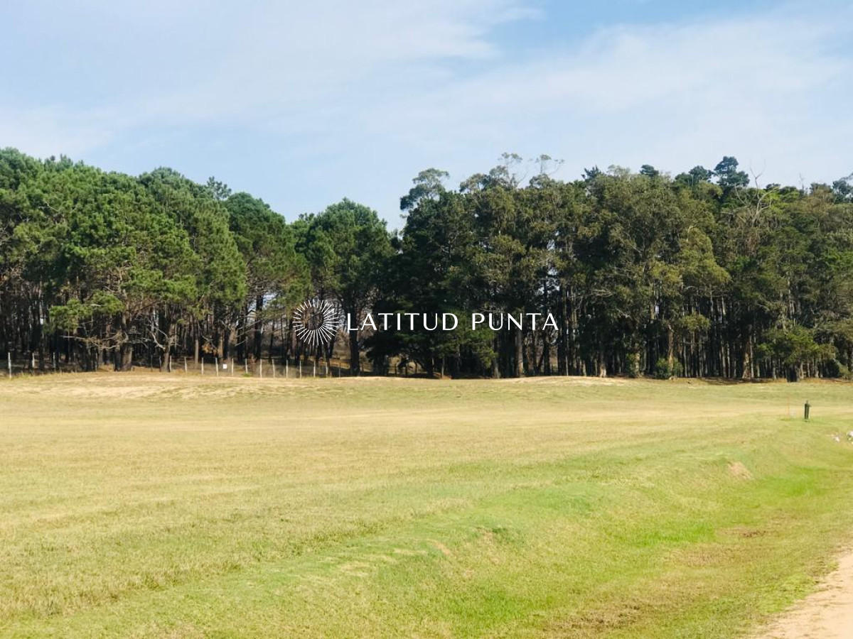 Ruta 104 - GoPunta - Portal Inmobiliario de Punta del Este - Maldonado