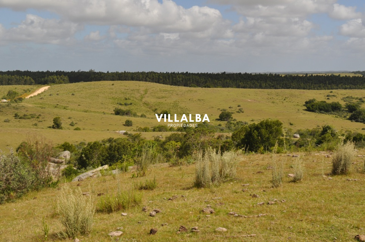 Apartamento ID.4563 - Venta chacra 5 has en Jose Ignacio proximo a  Garzon 