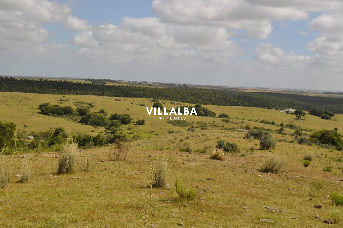 Apartamento ID.4563 - Venta chacra 5 has en Jose Ignacio proximo a  Garzon 