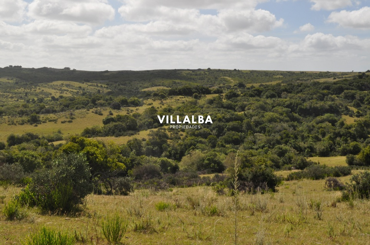 Apartamento ID.4563 - Venta chacra 5 has en Jose Ignacio proximo a  Garzon 