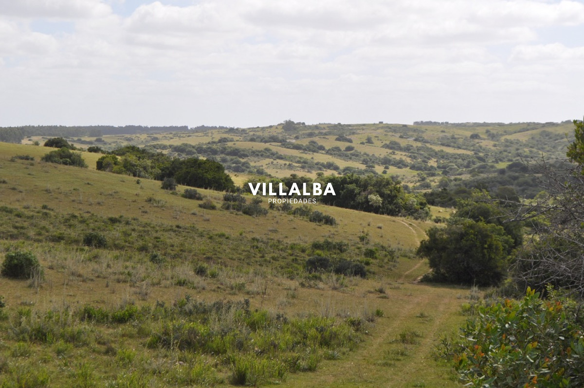 Apartamento ID.4563 - Venta chacra 5 has en Jose Ignacio proximo a  Garzon 