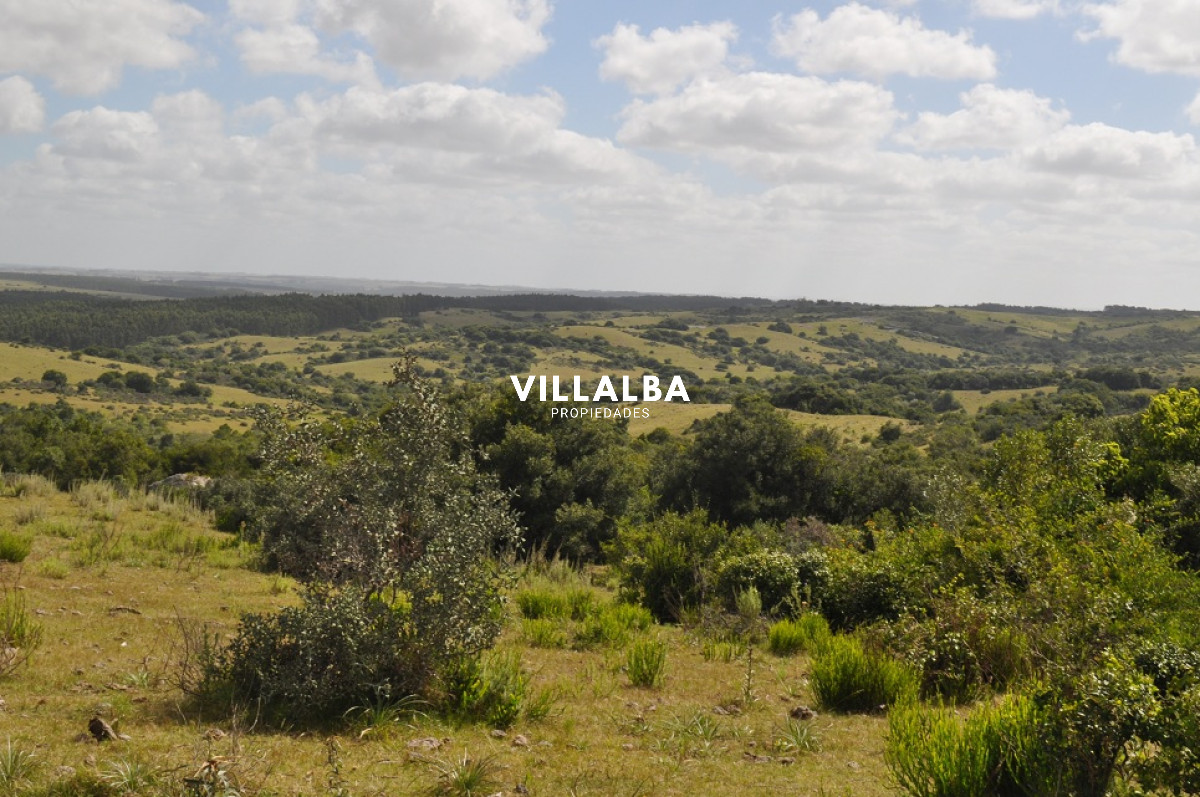 Apartamento ID.4563 - Venta chacra 5 has en Jose Ignacio proximo a  Garzon 