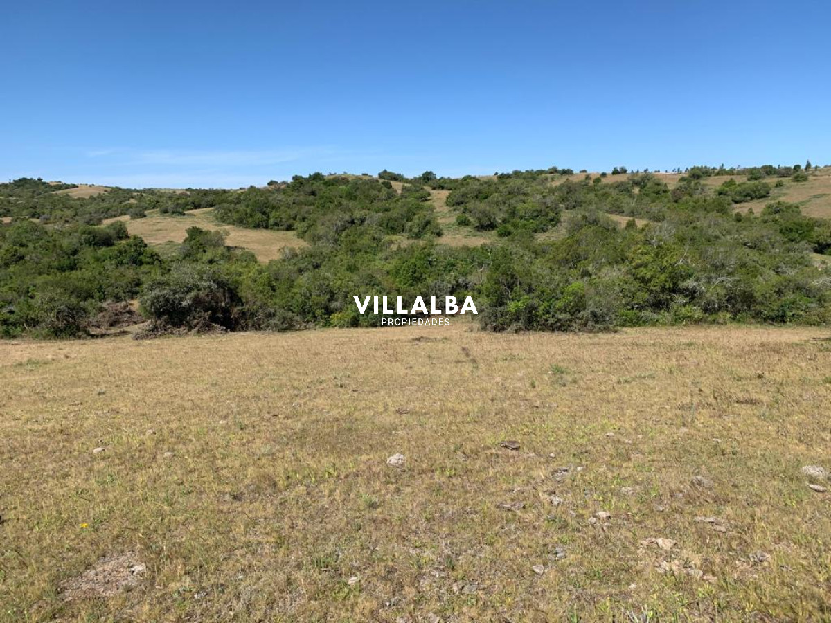 Apartamento ID.4563 - Venta chacra 5 has en Jose Ignacio proximo a  Garzon 