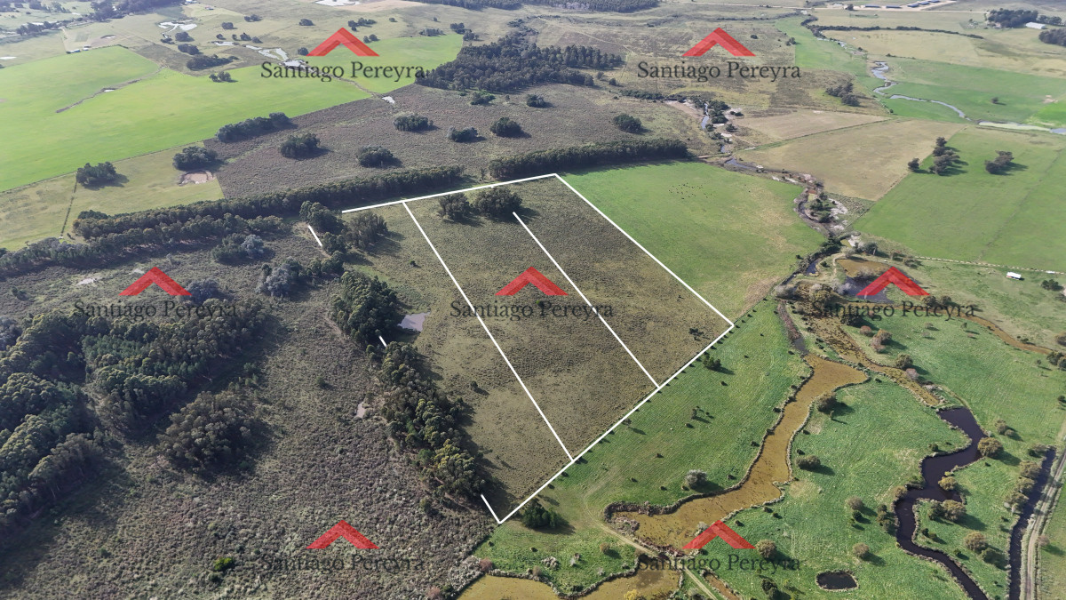 Ruta 104 - GoPunta - Portal Inmobiliario de Punta del Este - Maldonado