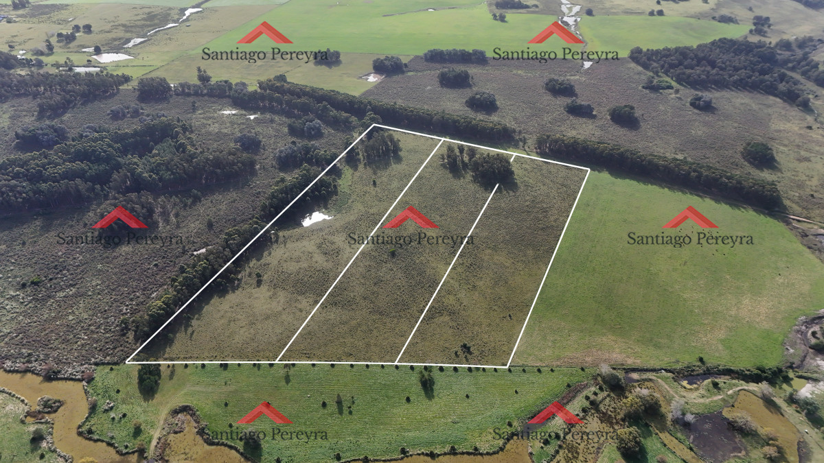 Ruta 104 - GoPunta - Portal Inmobiliario de Punta del Este - Maldonado