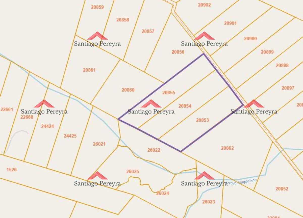 Ruta 104 - GoPunta - Portal Inmobiliario de Punta del Este - Maldonado