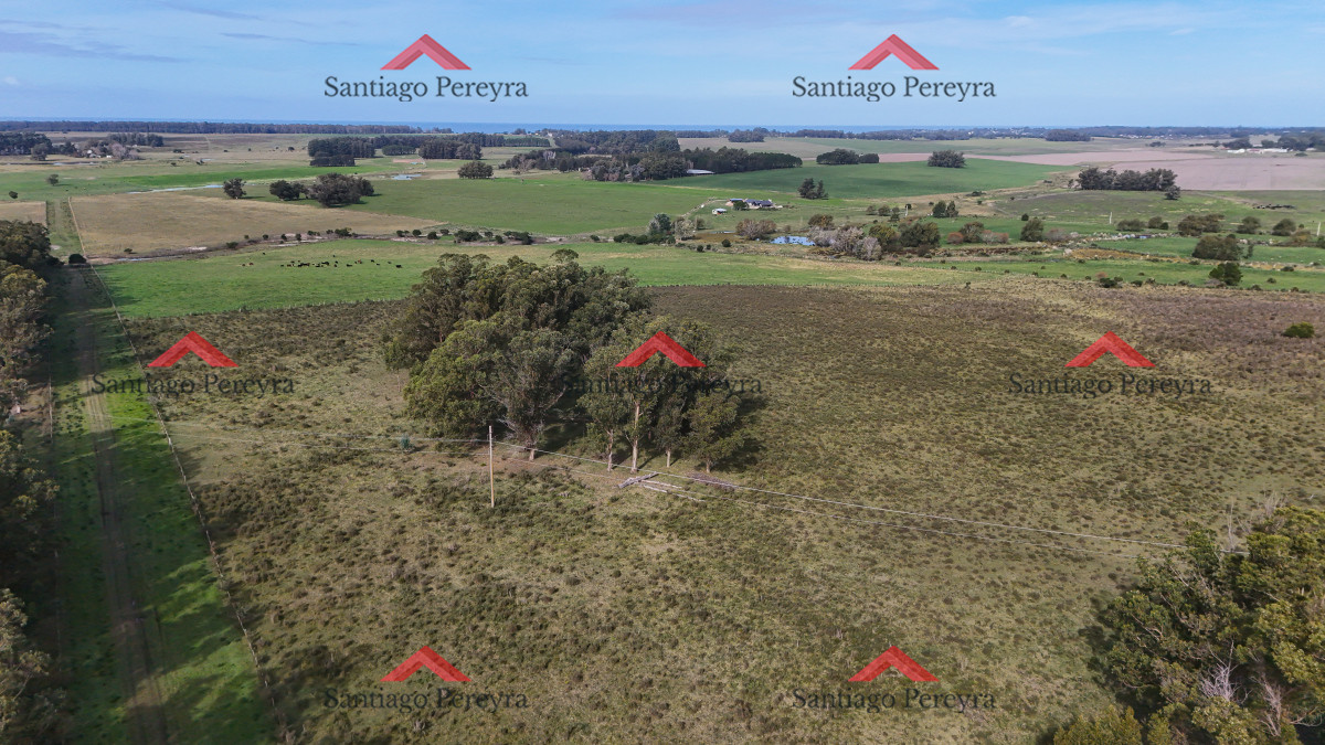 Ruta 104 - GoPunta - Portal Inmobiliario de Punta del Este - Maldonado