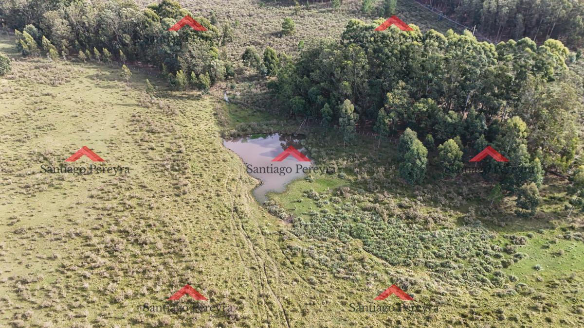Ruta 104 - GoPunta - Portal Inmobiliario de Punta del Este - Maldonado