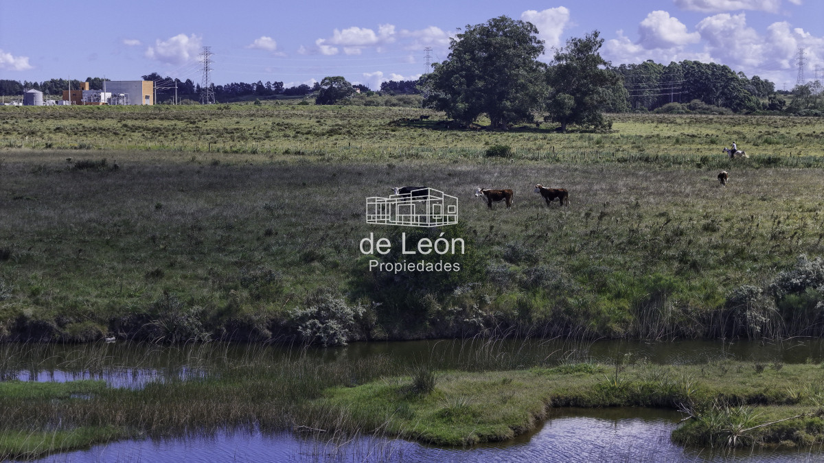 Chacra ID.14802 - Venta chacra 8 ha en Camino Medellín, Manantiales 