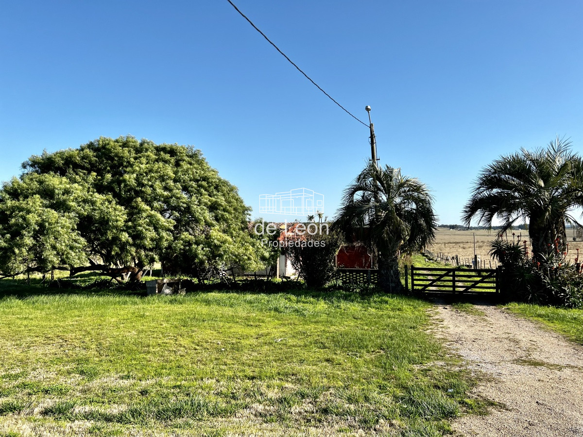 Chacra ID.14784 - Venta chacra 7 has en Ruta 104, Manantiales 