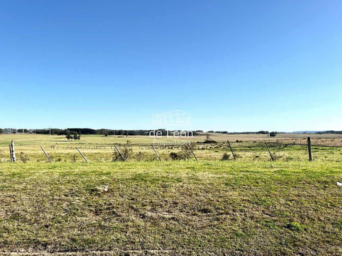 Chacra ID.14784 - Venta chacra 7 has en Ruta 104, Manantiales 