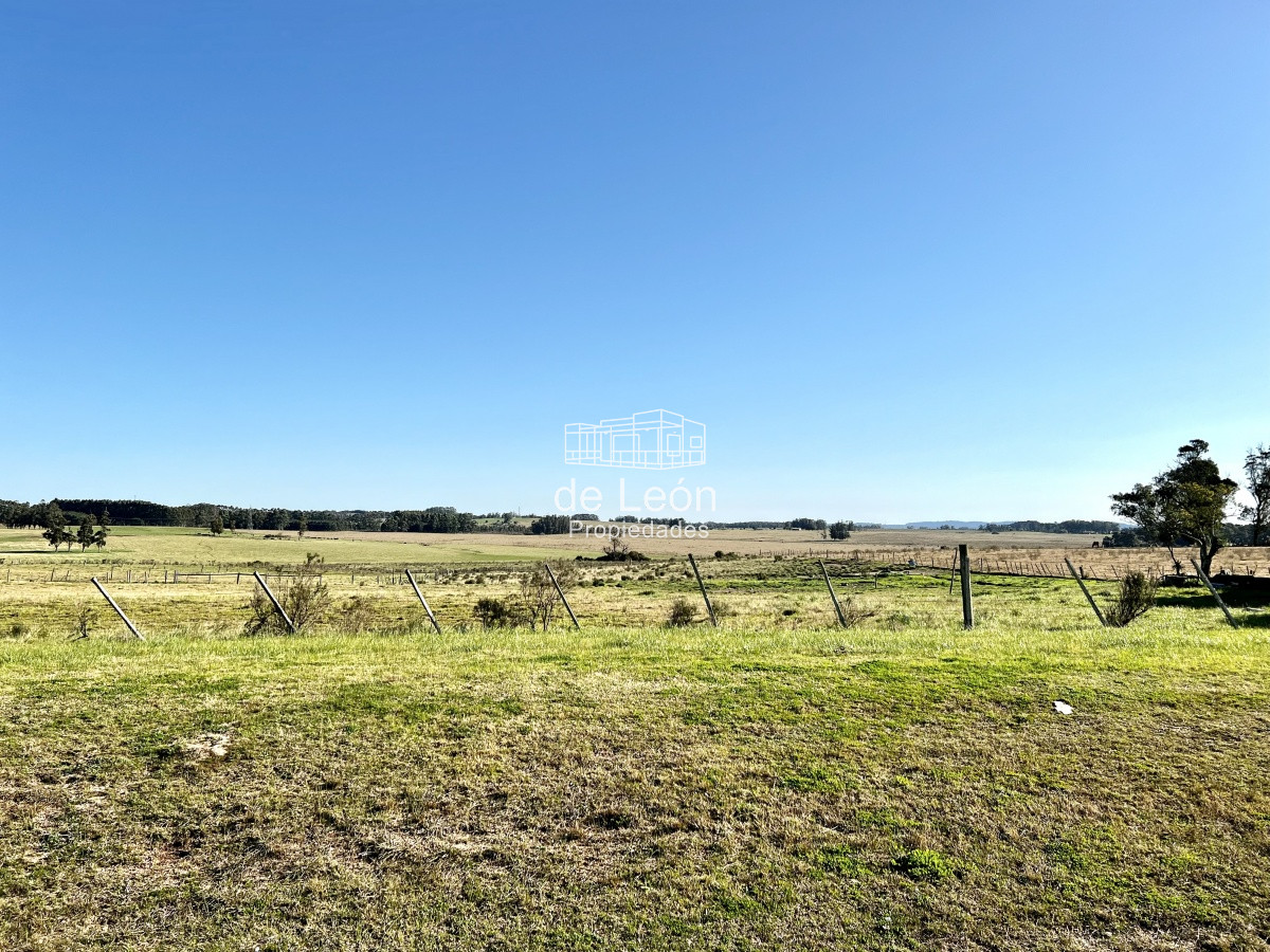 Chacra ID.14784 - Venta chacra 7 has en Ruta 104, Manantiales 