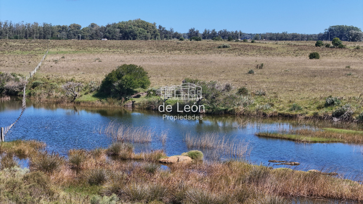 Chacra ID.14802 - Venta chacra 8 ha en Camino Medellín, Manantiales 