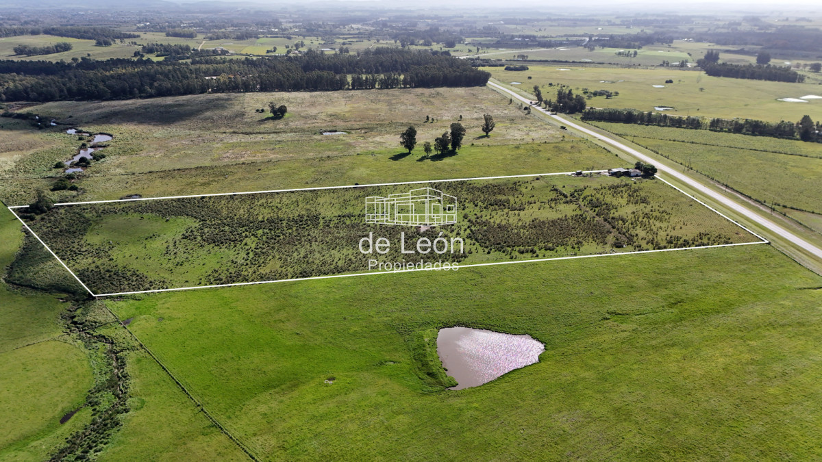 Chacra ID.14784 - Venta chacra 7 has en Ruta 104, Manantiales 