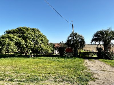 Venta chacra 7 has en Ruta 104, Manantiales 