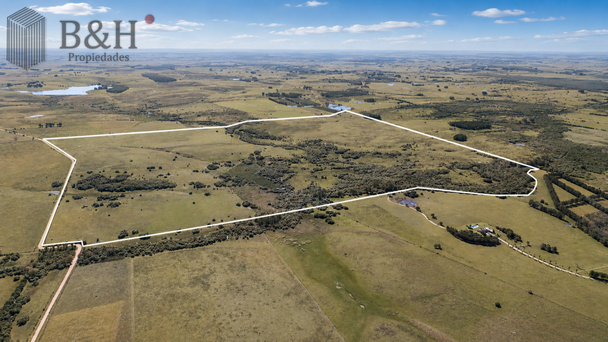 Chacra ID.7693 - Venta de campo 161 has en Ruta 9, Jose Igancio , Punta del Este 