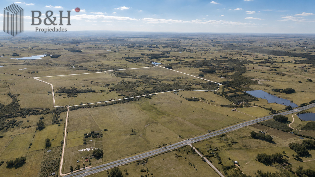 Chacra ID.7693 - Venta de campo 161 has en Ruta 9, Jose Igancio , Punta del Este 