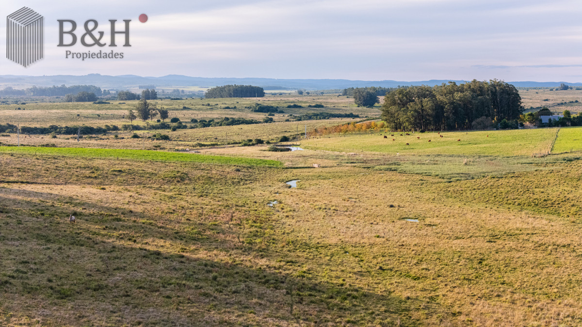 Campo Ref.7960 - Venta campo 120 hectáreas, Garzón , Maldonado 
