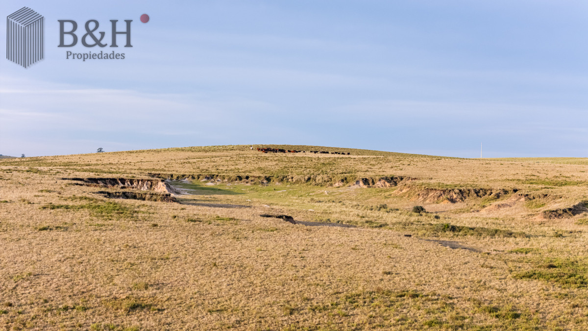 Campo Ref.7960 - Venta campo 120 hectáreas, Garzón , Maldonado 