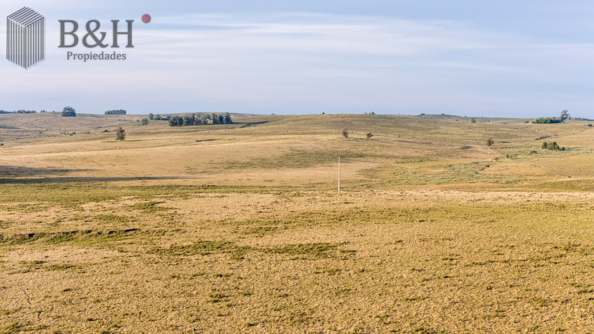 Campo Ref.7960 - Venta campo 120 hectáreas, Garzón , Maldonado 