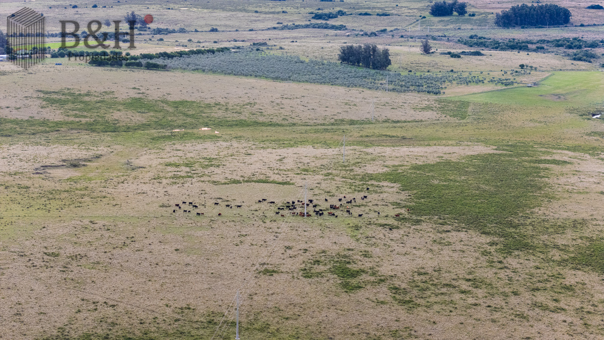 Campo Ref.7960 - Venta campo 120 hectáreas, Garzón , Maldonado 