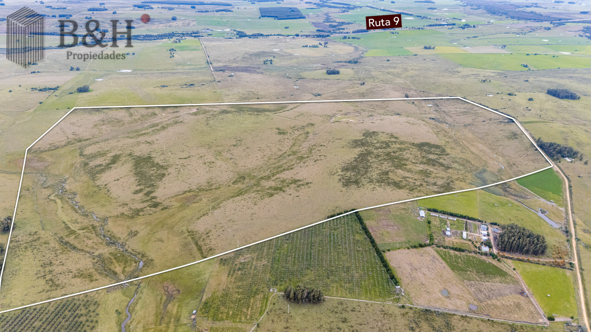 Campo Ref.7960 - Venta campo 120 hectáreas, Garzón , Maldonado 