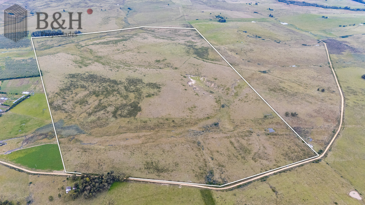 Campo Ref.7960 - Venta campo 120 hectáreas, Garzón , Maldonado 