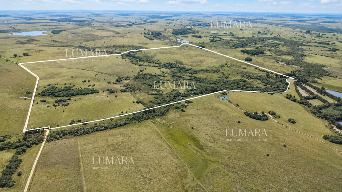 Chacra ID.3755 - Venta de campo 161 has en Ruta 9, Jose Igancio , Punta del Este 