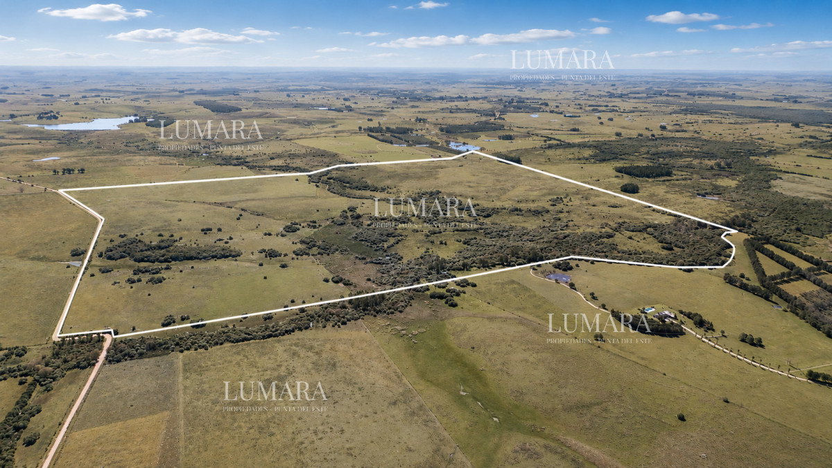 Chacra ID.3755 - Venta de campo 161 has en Ruta 9, Jose Igancio , Punta del Este 