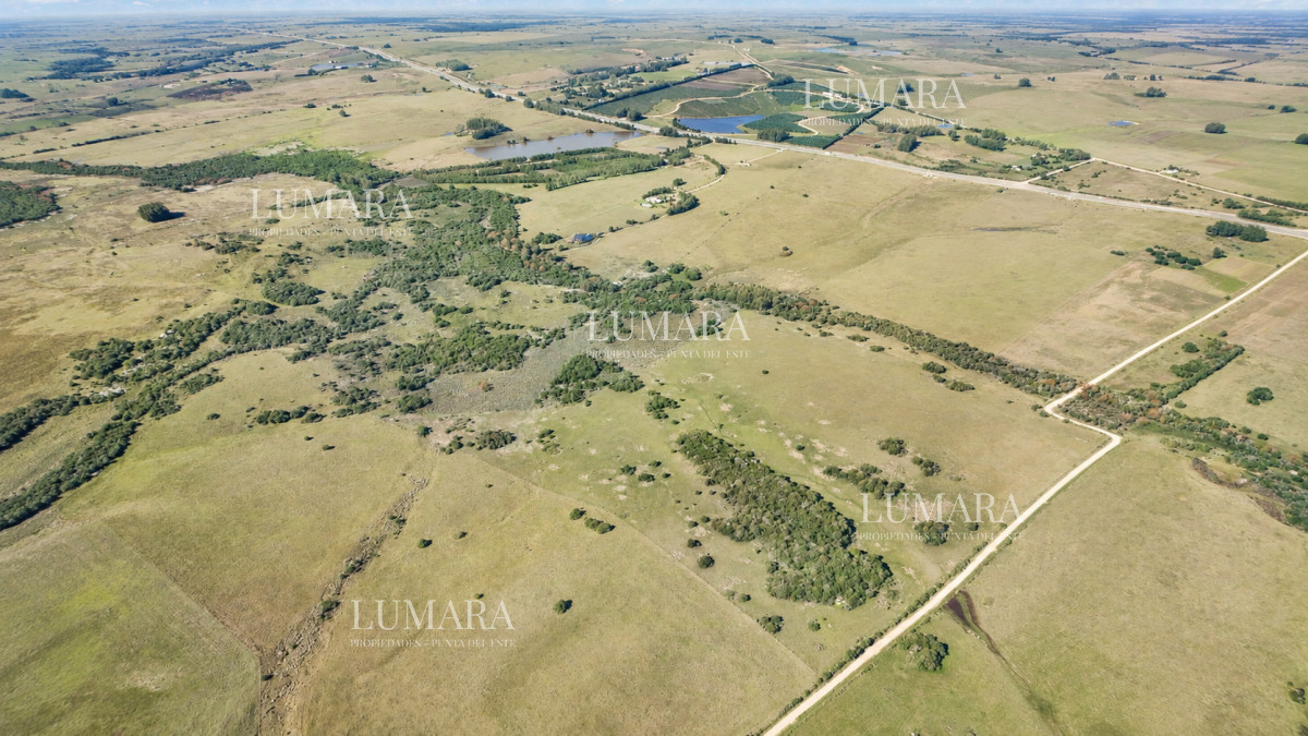 Chacra ID.3755 - Venta de campo 161 has en Ruta 9, Jose Igancio , Punta del Este 