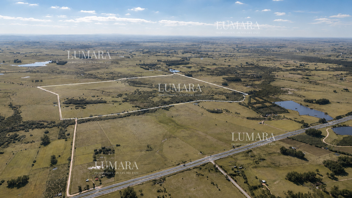 Chacra ID.3755 - Venta de campo 161 has en Ruta 9, Jose Igancio , Punta del Este 