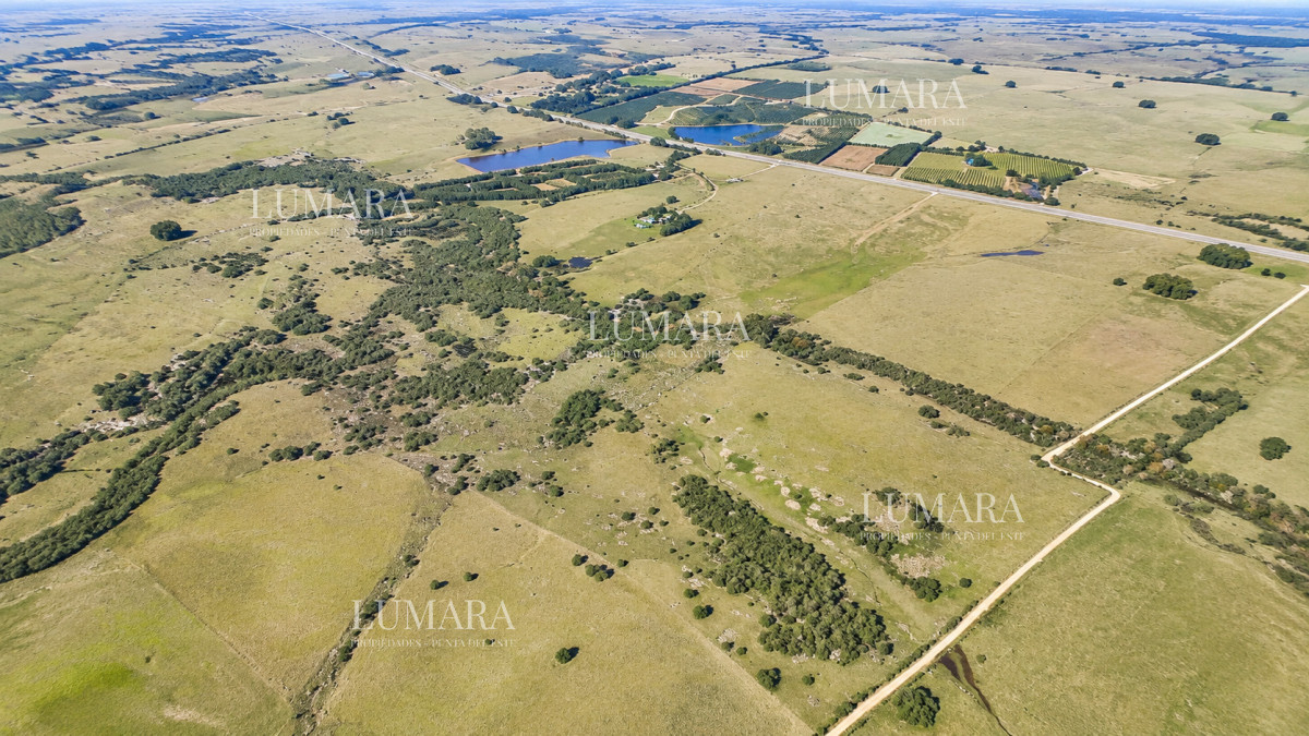 Chacra ID.3755 - Venta de campo 161 has en Ruta 9, Jose Igancio , Punta del Este 