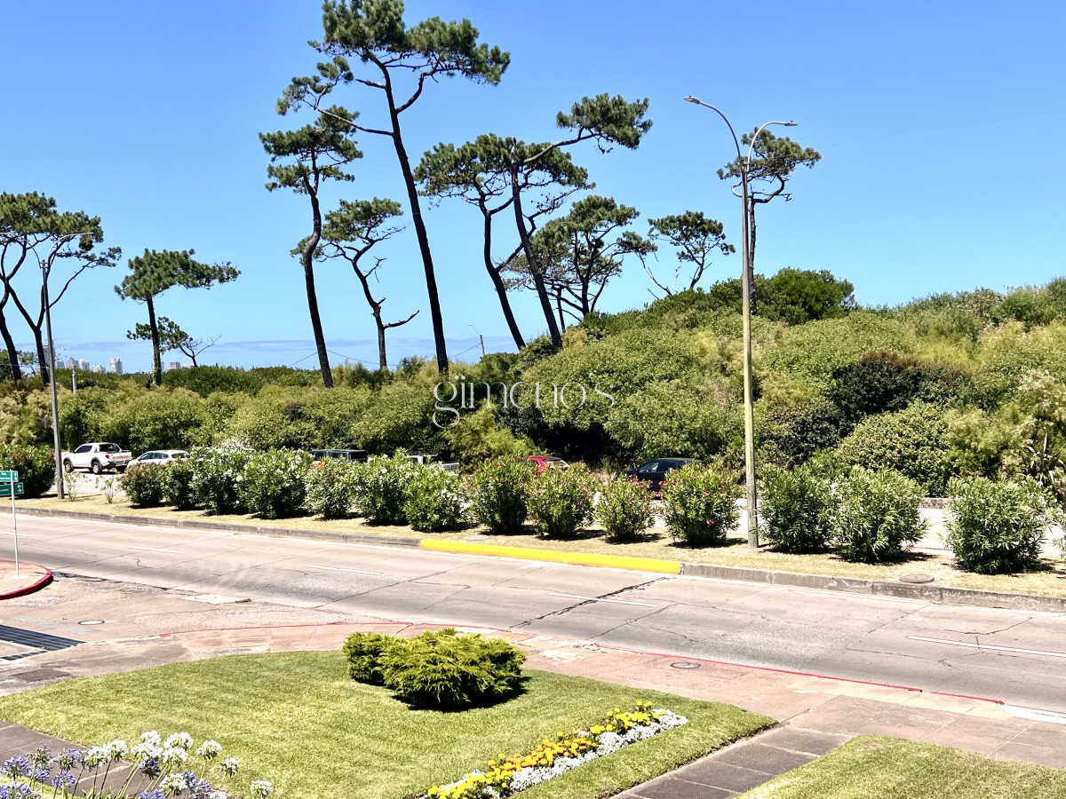 Apartamento ID.449 - Alquiler apartamento 2 dormitorios mas dependencia de servicio en Playa Mansa, Punta del Este 