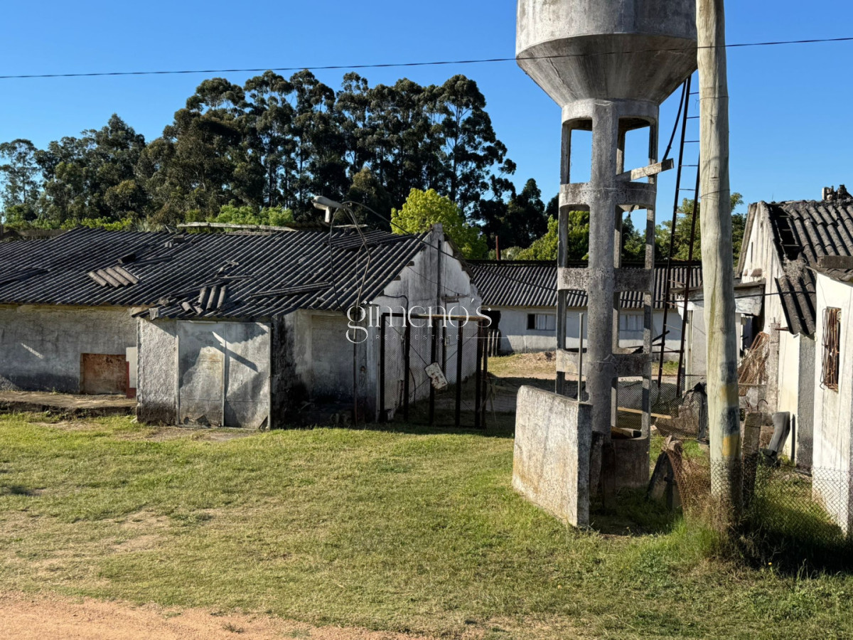 Terreno ID.1081 - Venta terreno en Ruta 39 , Maldonado