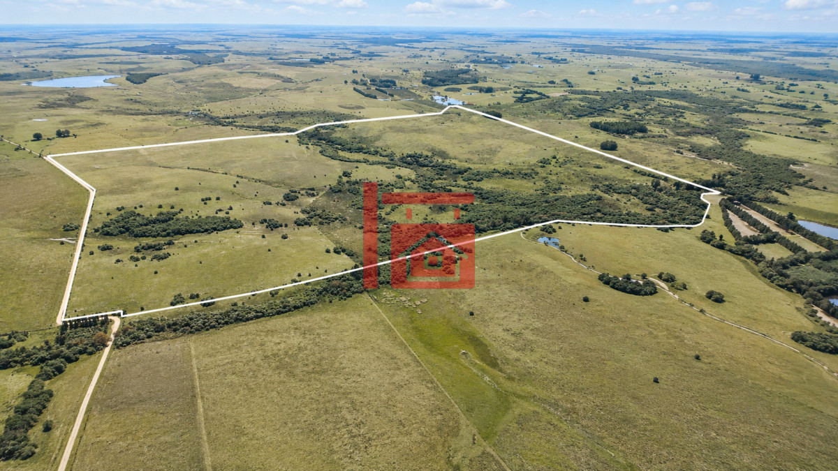 Chacra ID.1111 - Venta de campo 161 has en Ruta 9, Jose Igancio , Punta del Este 
