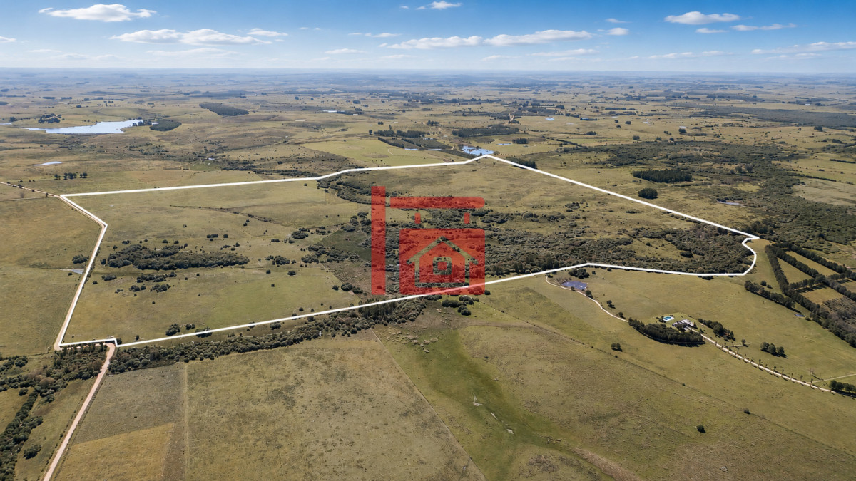 Chacra ID.1111 - Venta de campo 161 has en Ruta 9, Jose Igancio , Punta del Este 