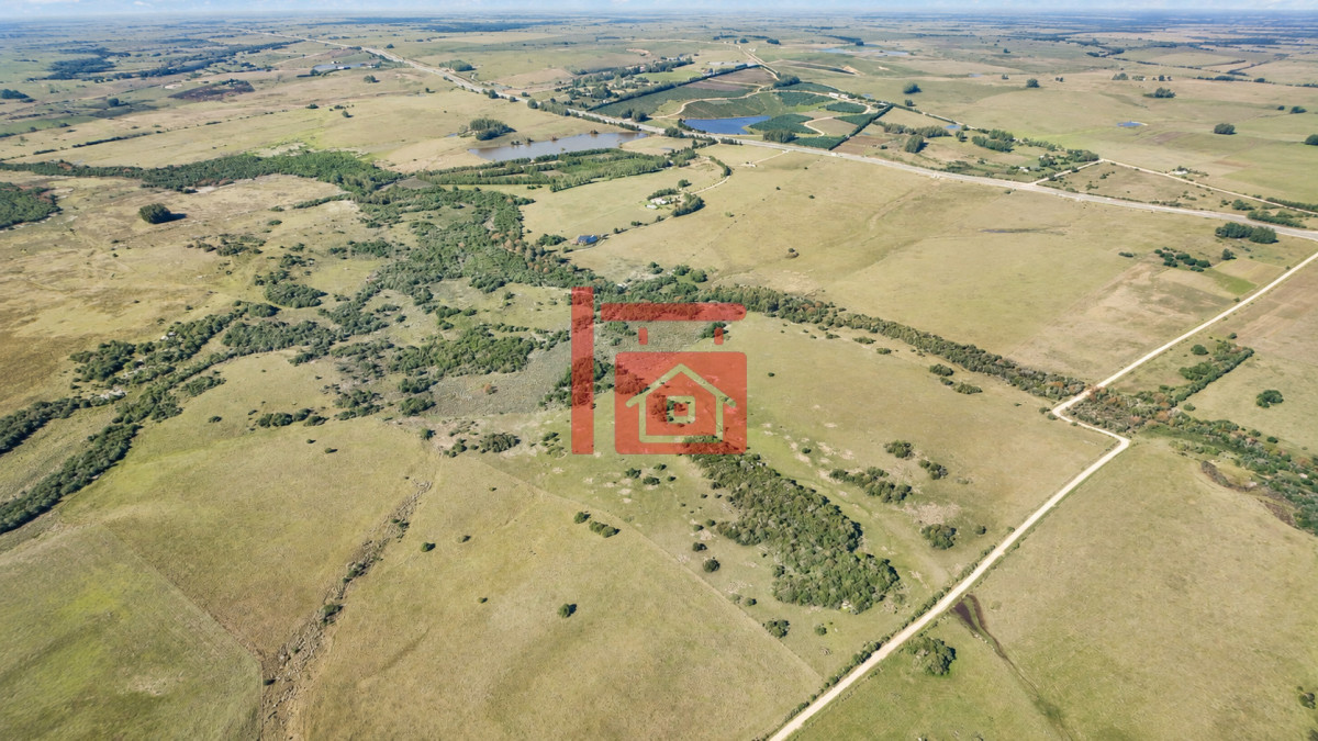 Chacra ID.1111 - Venta de campo 161 has en Ruta 9, Jose Igancio , Punta del Este 