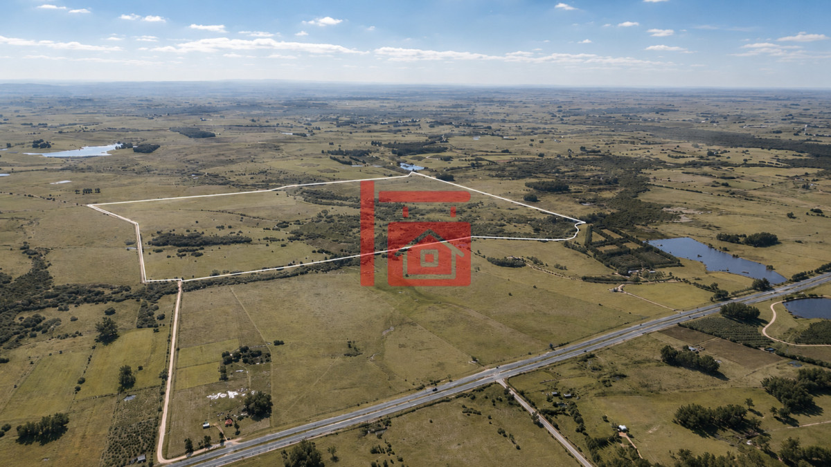 Chacra ID.1111 - Venta de campo 161 has en Ruta 9, Jose Igancio , Punta del Este 