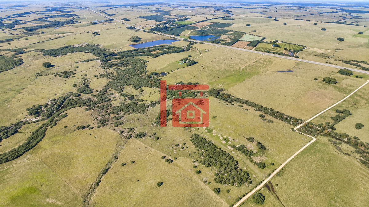 Chacra ID.1111 - Venta de campo 161 has en Ruta 9, Jose Igancio , Punta del Este 