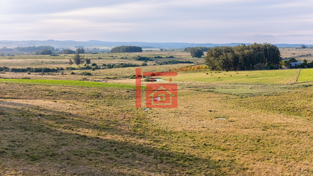 Campo Ref.1110 - Venta campo 120 hectáreas, Garzón , Maldonado 