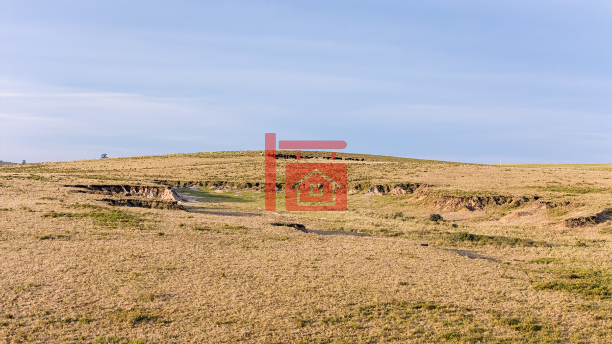 Campo Ref.1110 - Venta campo 120 hectáreas, Garzón , Maldonado 