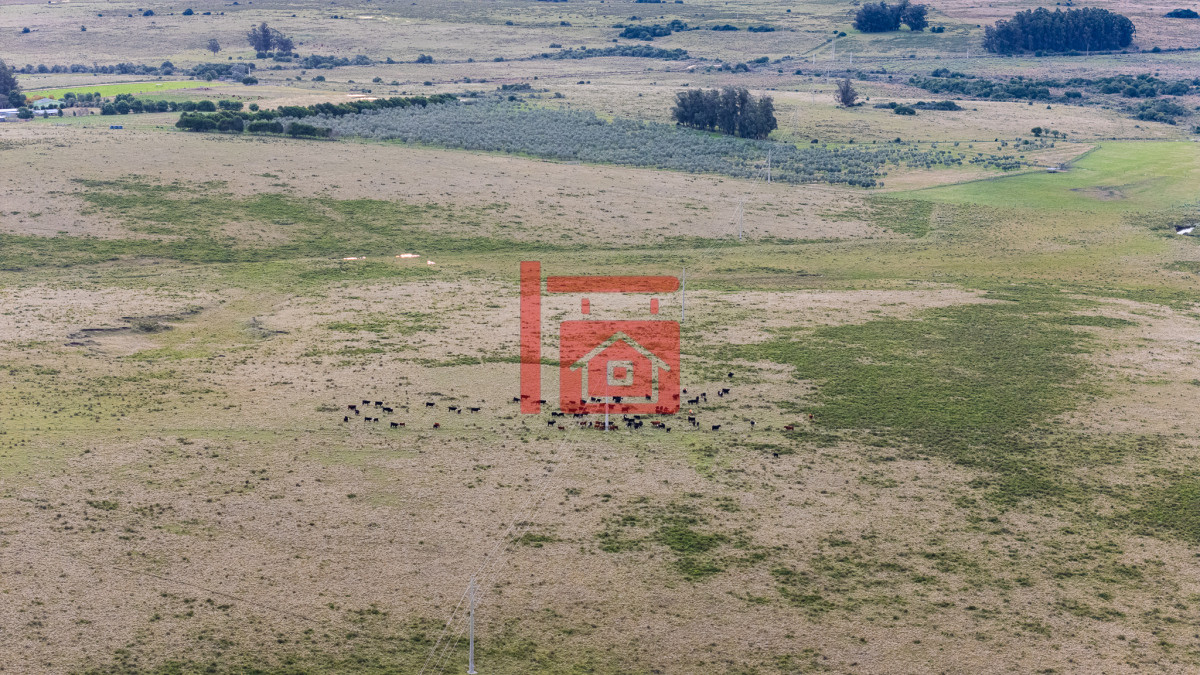 Campo Ref.1110 - Venta campo 120 hectáreas, Garzón , Maldonado 